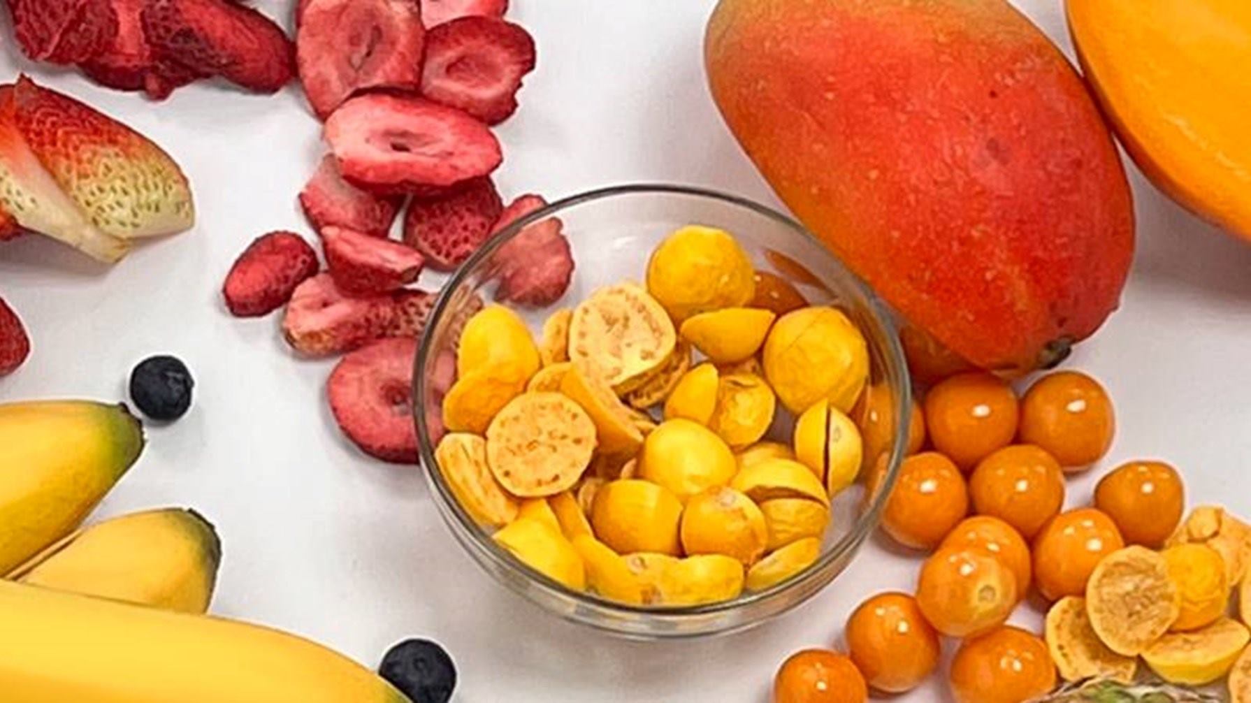 FRUTA LIOFILIZADA
