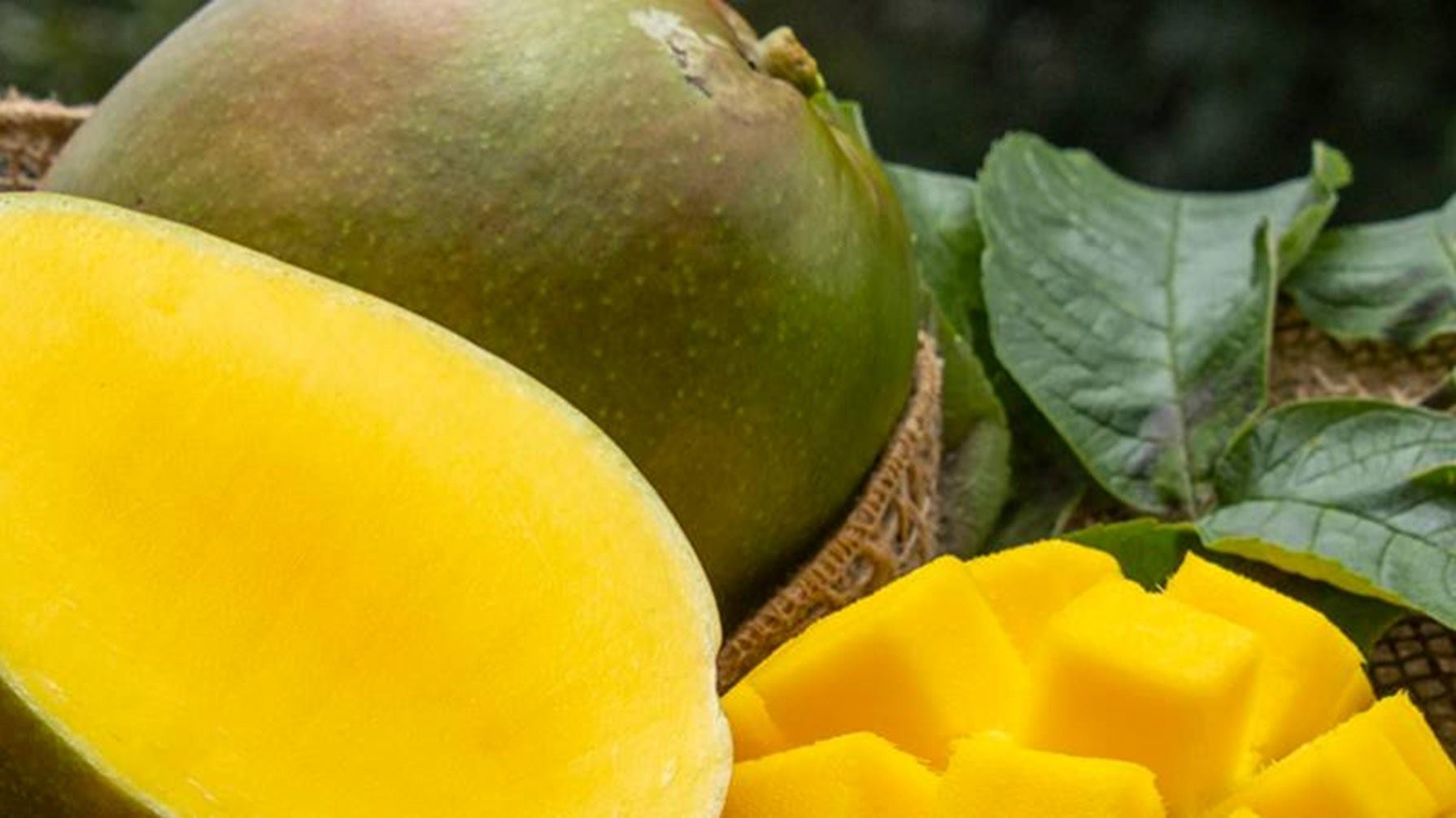 FRUTA FRESCA