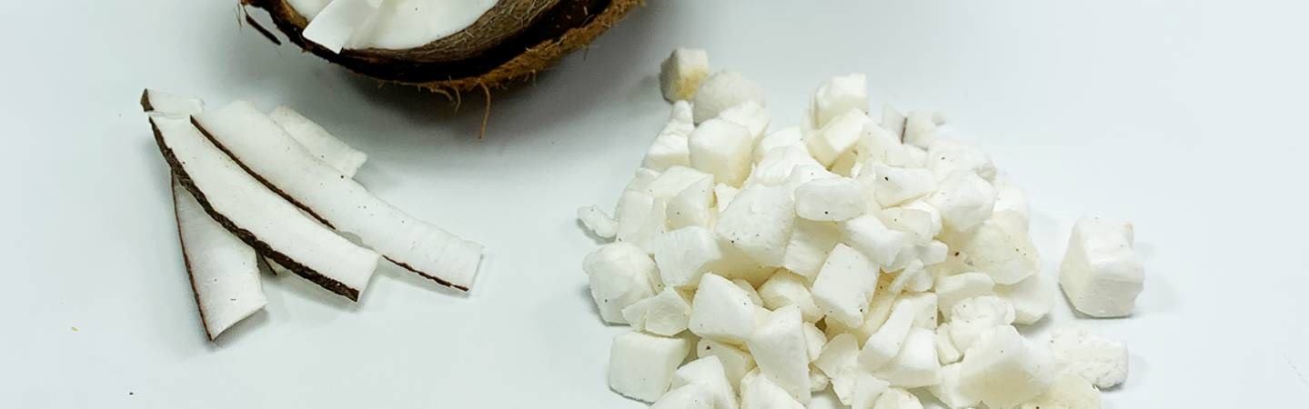 FRUTA LIOFILIZADA