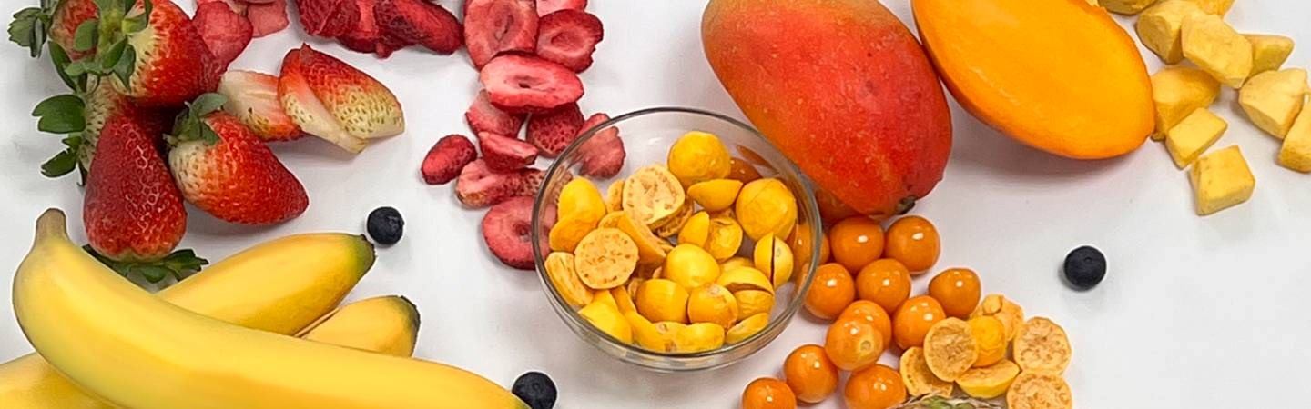 FRUTA LIOFILIZADA
