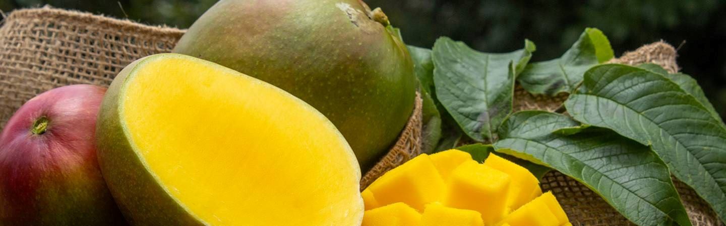 FRUTA FRESCA